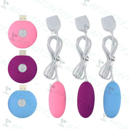 [VB017]ไข่สั่นหัวเดียว รีโมท USB - Image 2