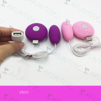 [VB017]ไข่สั่นหัวเดียว รีโมท USB