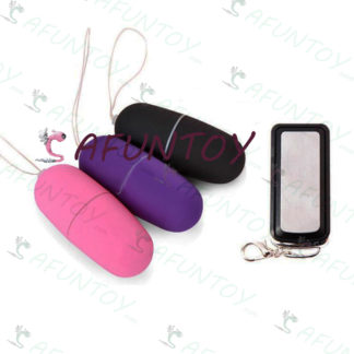 [VW005]ไข่สั่นไร้สายรีโมทรถยนต์